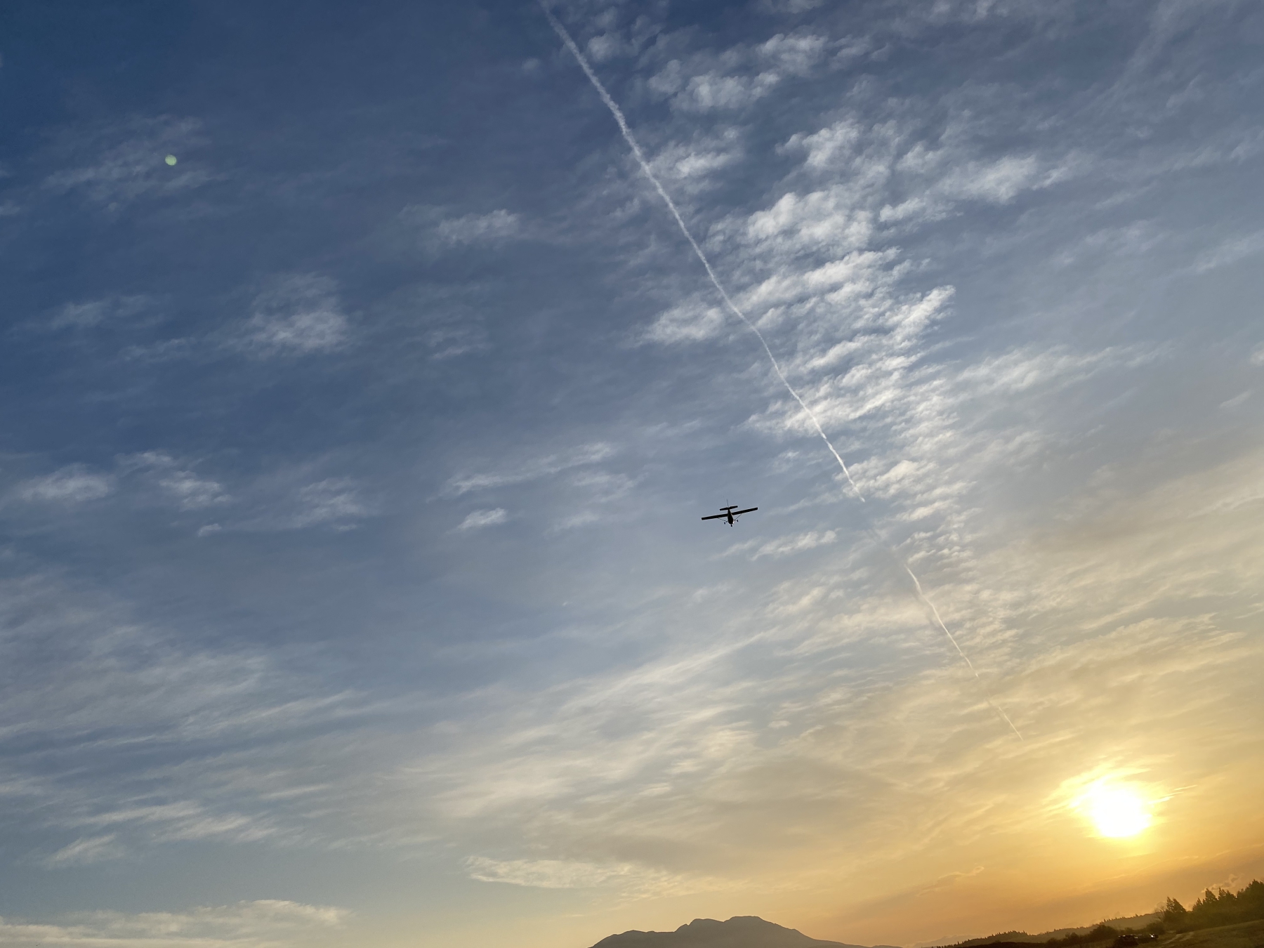 チームwishの人生イロイロ